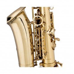 Stagg Eb Alto Saxophone, with High F# Key in Form Case