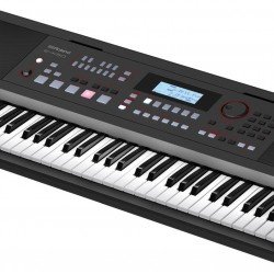 Roland E-X50 61-key Arranger - Black