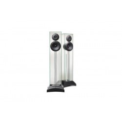 Waterfall Iguasco Evo Floor Standing Speaker