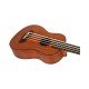 Flight DUBS Electro-Acoustic Bass Ukulele - Mahogany