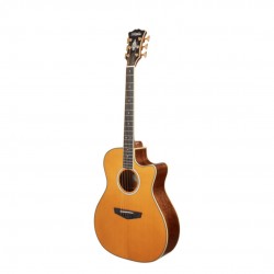 D'Angelico DAEG200VNATGP2 Excel Gramercy Acoustic Guitar - Vintage Natural