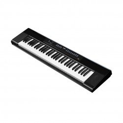 Artesiapro A-61 Semi weighted Velocity Sensitive keyboard - Black