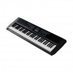 Artesiapro MA-88 Standard Size Keys WithTouch Sensitivity Keyboard - Black