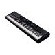 Artesiapro Vivace Pro BK Vivace Series 88 Graded Hammer Action Keys Portable Digital Piano - Black