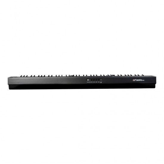 Artesiapro Vivace Pro BK Vivace Series 88 Graded Hammer Action Keys Portable Digital Piano - Black