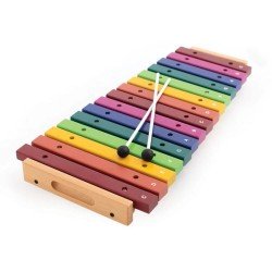 Percussion Plus PP3015 Rainbow xylophone 
