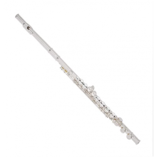 Armstrong Student Model 102E Closed Hole Flute 102 E- DISPLAY UNIT Armstrong Student Model 102E Closed Hole Flute 102 E- DISPLAY UNIT