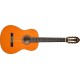 Washburn C5 Classical Acoustic Guitar - Natural