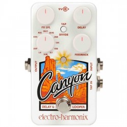 Electro Harmonix Canyon Delay & Looper Pedal