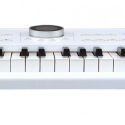 Arturia Astrolab Avant-Garde Stage Keyboard - White