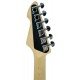 Peavey Raptor® Custom Electric Guitar - Silverburst