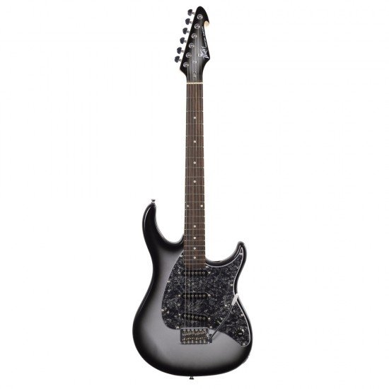 Peavey Raptor® Custom Electric Guitar - Silverburst