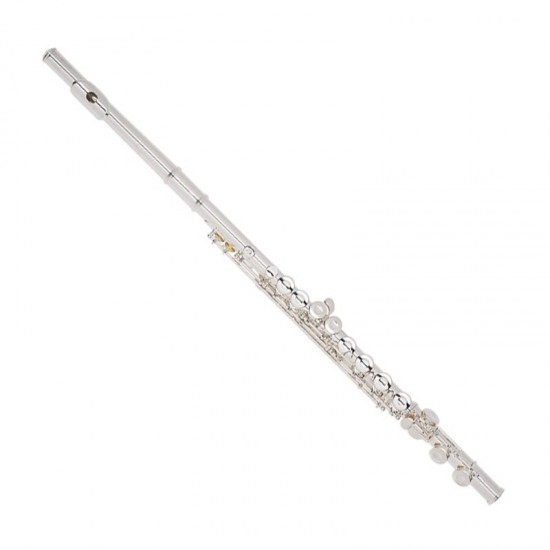 Armstrong Student Model 102E Closed Hole Flute 102 E- DISPLAY UNIT Armstrong Student Model 102E Closed Hole Flute 102 E- DISPLAY UNIT