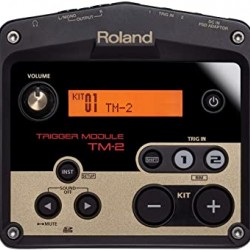 Roland TM-2 TRIGGER MODULE