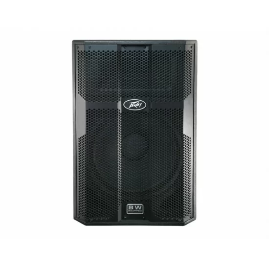 Peavey 2 15 sales speakers