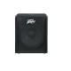 Peavey Pv112 Passive Speaker