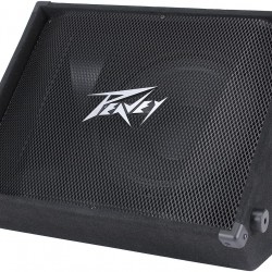 Peavey Pv15m Passive Monitor