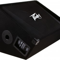 Peavey Pv15m Passive Monitor