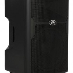 Peavey Pvx15 Passive Speaker